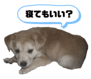 555737742