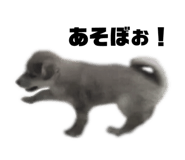 555737743