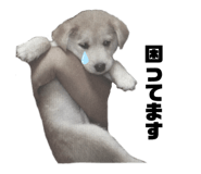 555737744