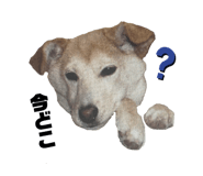 555737750