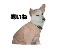 555737753