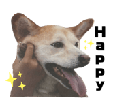 555737756