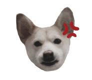 555737757