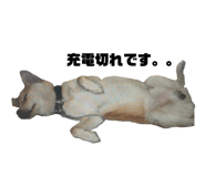 555737759
