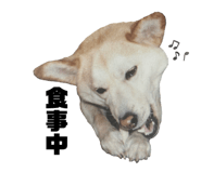 555737761