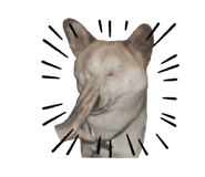 555737763