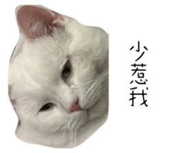 555753560