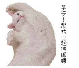 555753564