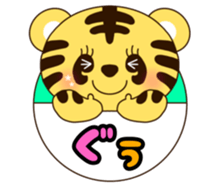 555760049
