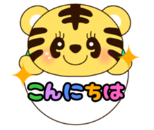 555760078