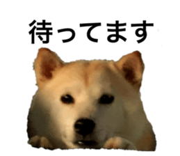 555762766