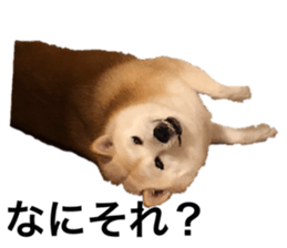 555762768