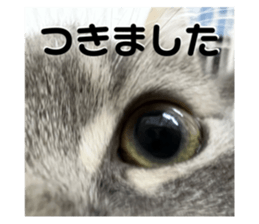 555763663