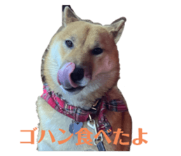 555780792