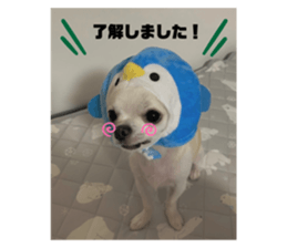 555783171