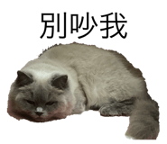 555783499