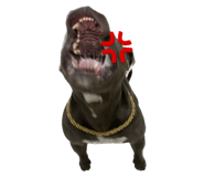 555791573