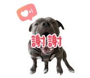 555791585