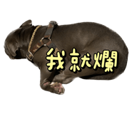 555791587