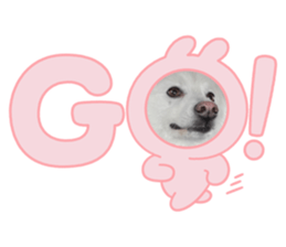 555816027