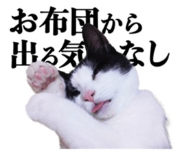 555816834