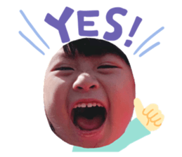 555820825