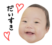555822626