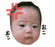 555822639