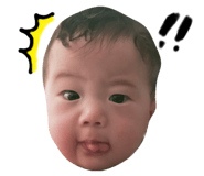 555822640