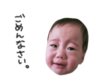 555822643