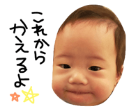 555822647