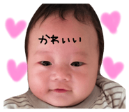555822648