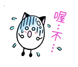 5558243