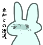 5558941