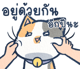 สติกเกอร์ 555937381