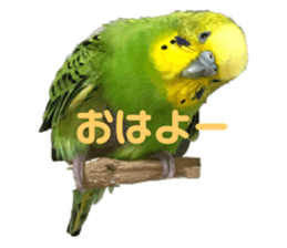 555947614