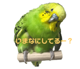 555947616
