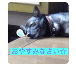 555948639
