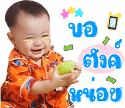 555951136