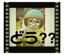 555953956