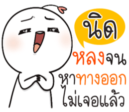 55595795