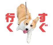 555960573