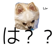 555961752