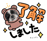 555961758