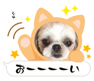 555961777