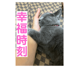 555963486