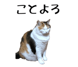 555965037