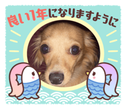 555977425