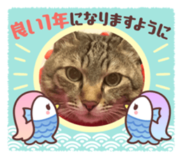 555979362