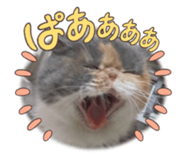 555989544